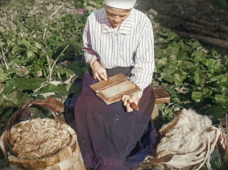  Ленинградская область, Тосненский р-он, город Никольское. Беликов Александр Антонович. СССР на цветных фотографиях