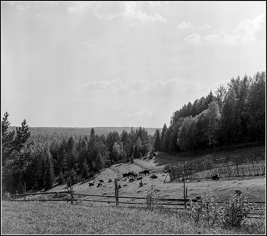фото Илья Гольберг.