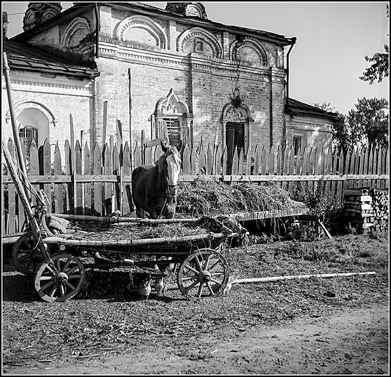 фото Илья Гольберг.