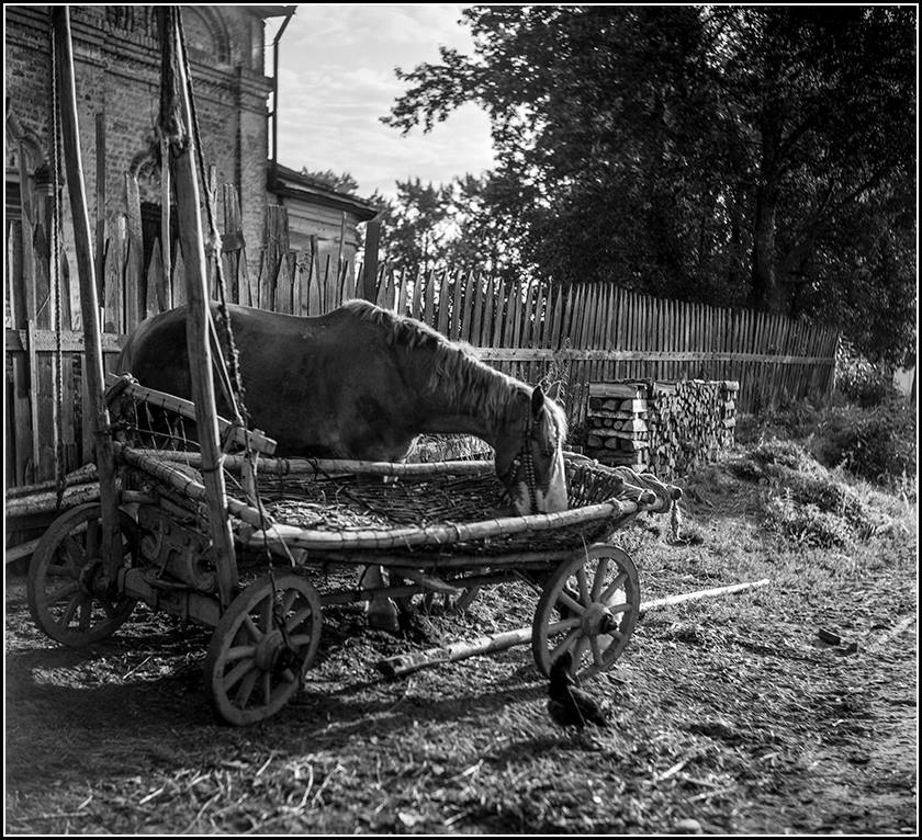 фото Илья Гольберг.