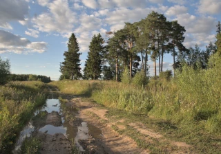  Зкология природы 