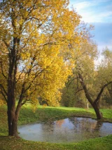 Природные пейзажи. Russian nature