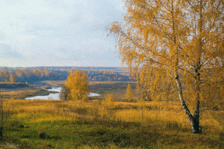 Природа Костромского и Ярославского края