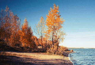 Магистральная улица